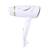 سشوار مسافرتی کره ای کویین 1600 وات مدل HD360 - بنفش, گارانتی اصالت و سلامت فیزیکی