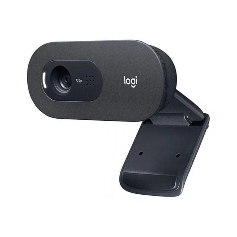 وب کم لاجیتک مدل C505e HD 2