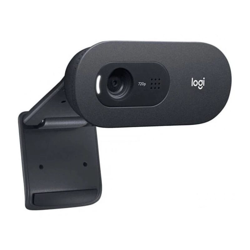 وب کم لاجیتک مدل C505e HD 3