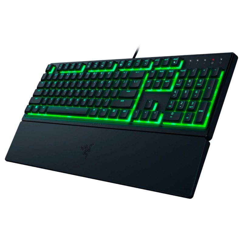 کیبورد باسیم گیمینگ ریزر مدل ORNATA V3 X 2